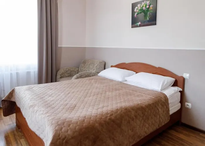 Hotel едельвейс Skhidnytsia